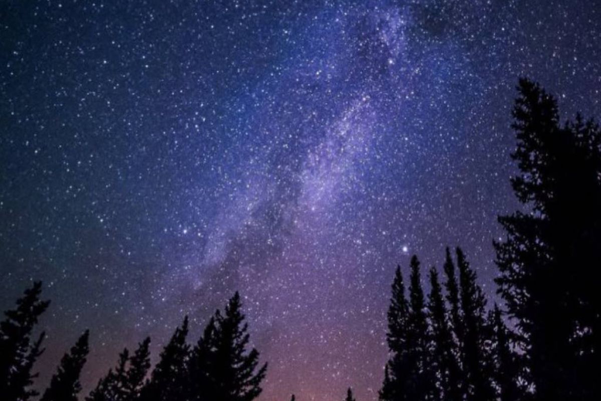 8fb73d354e5fd031205311670125f8d5 XL aa93f7c0