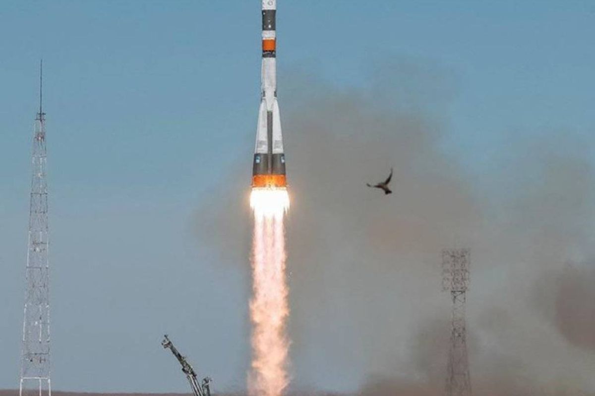 a661b5d66a9923bf0022c7f38e2ec759 XL aba113ba