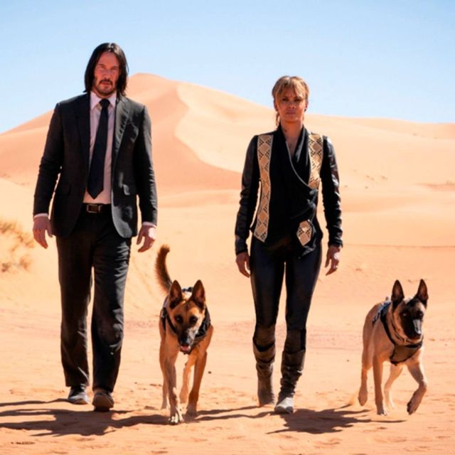 John Wick: Κεφάλαιο 3» – Η τρίτη συνέχεια της δημοφιλούς σειράς ταινιών με τον Keanu Reeves στη Nova!