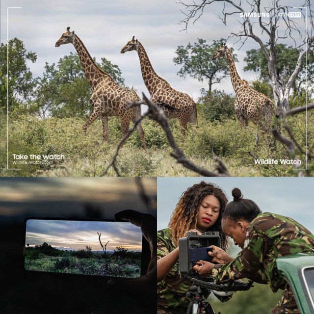 Η πρωτοβουλία Wildlife Watch της Samsung προσκαλεί τους χρήστες να γίνουν εικονικοί δασοφύλακες