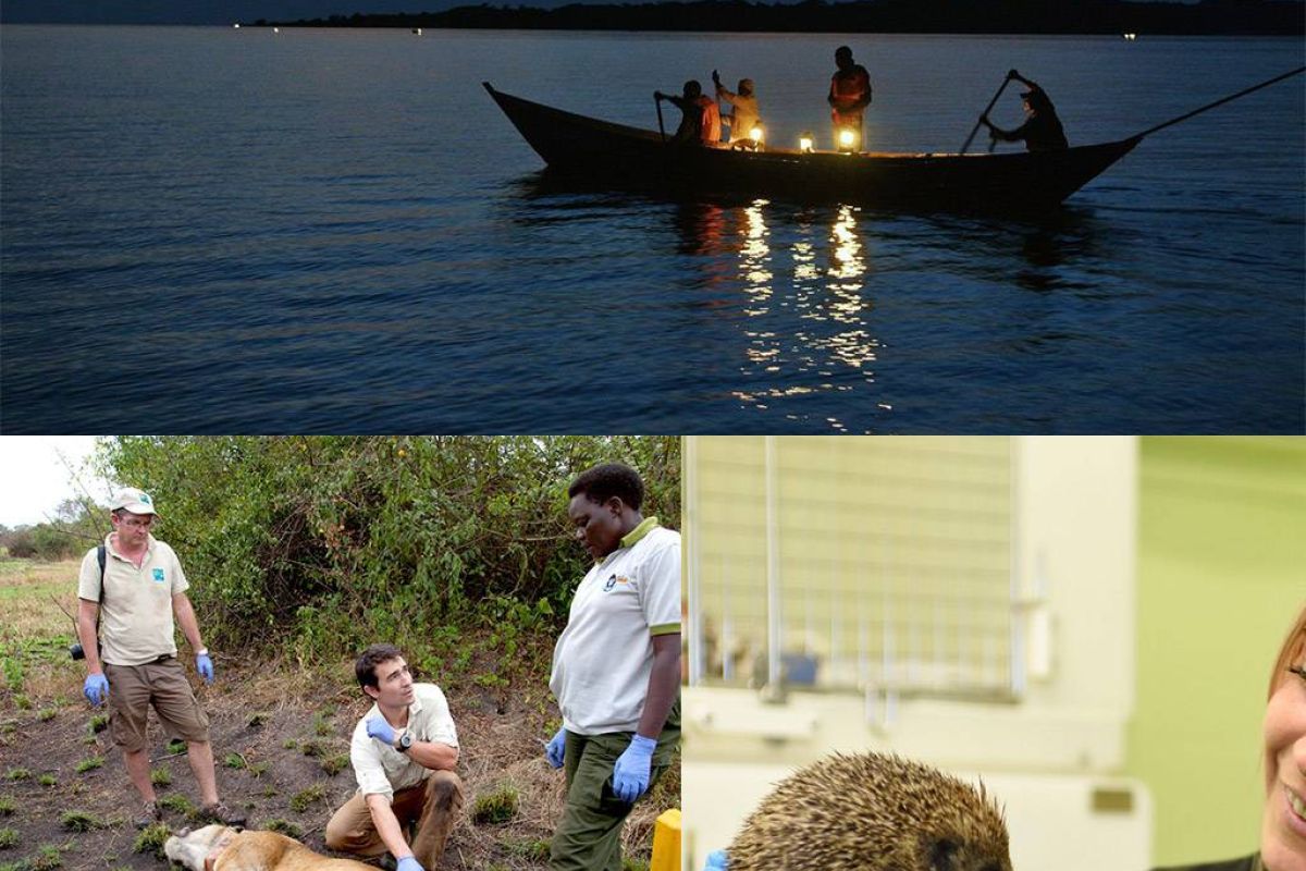 Ο μεγαλειώδης Νείλος και τα μεγαλύτερα και μοχθηρότερα ζώα του πλανήτη έρχονται τον Σεπτέμβριο στο Viasat Nature