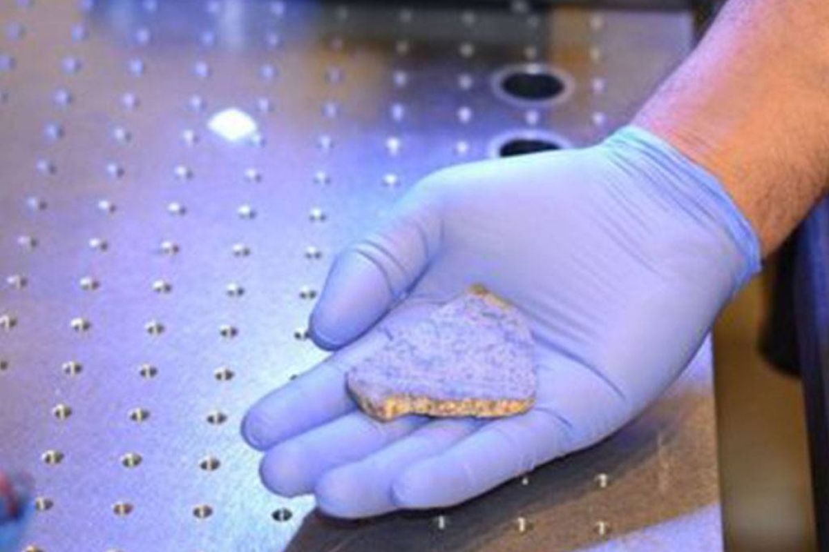 a0c7c2cfd53285addab11cb639c4dec3 XL ad3a2469