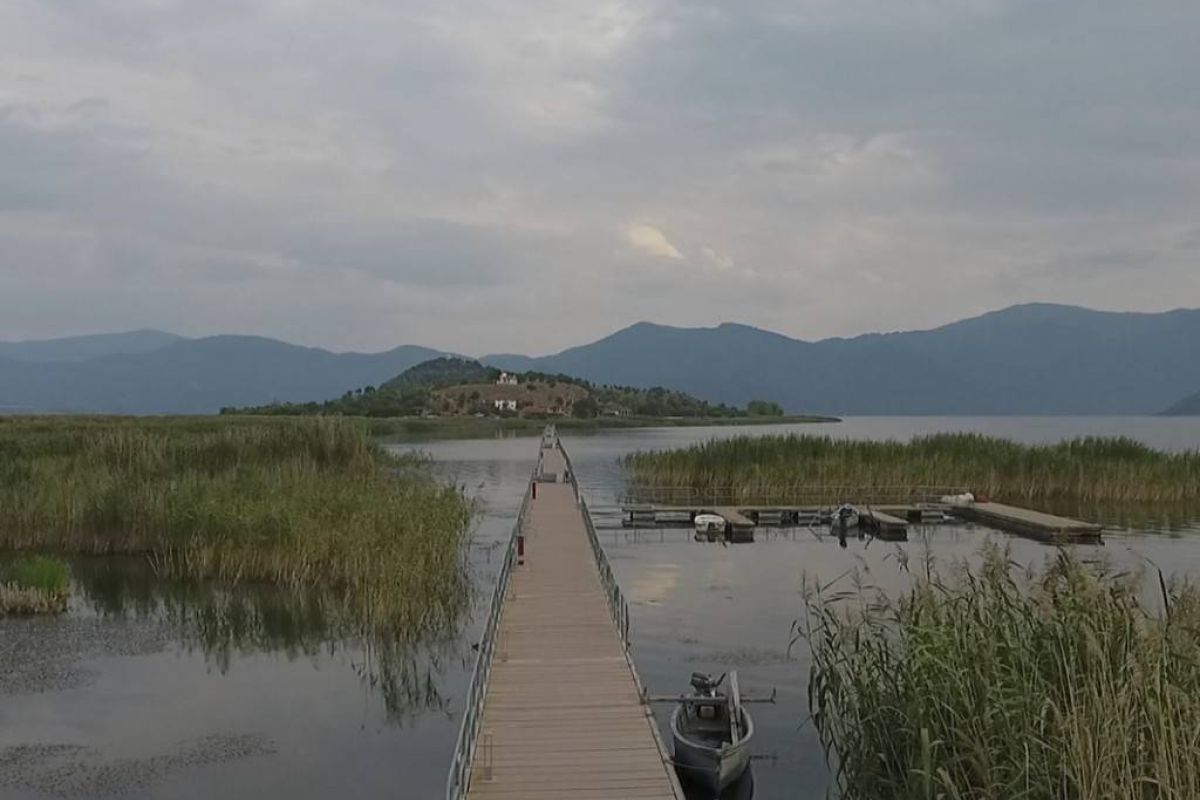 be49eda3f6099b8b445a9743df2f1dc7 XL adca784c