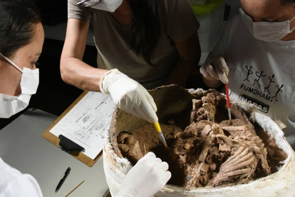 60a40d5de2057c4bff6312f3b4369e7a XL aebb18db