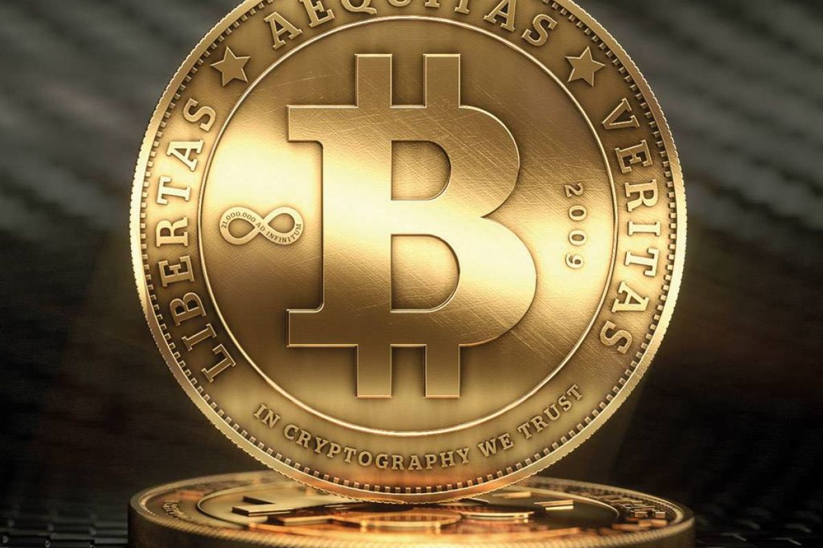 8020ae4bbc239feb55dd3f1fa9968bb9 XL aefe5d8b