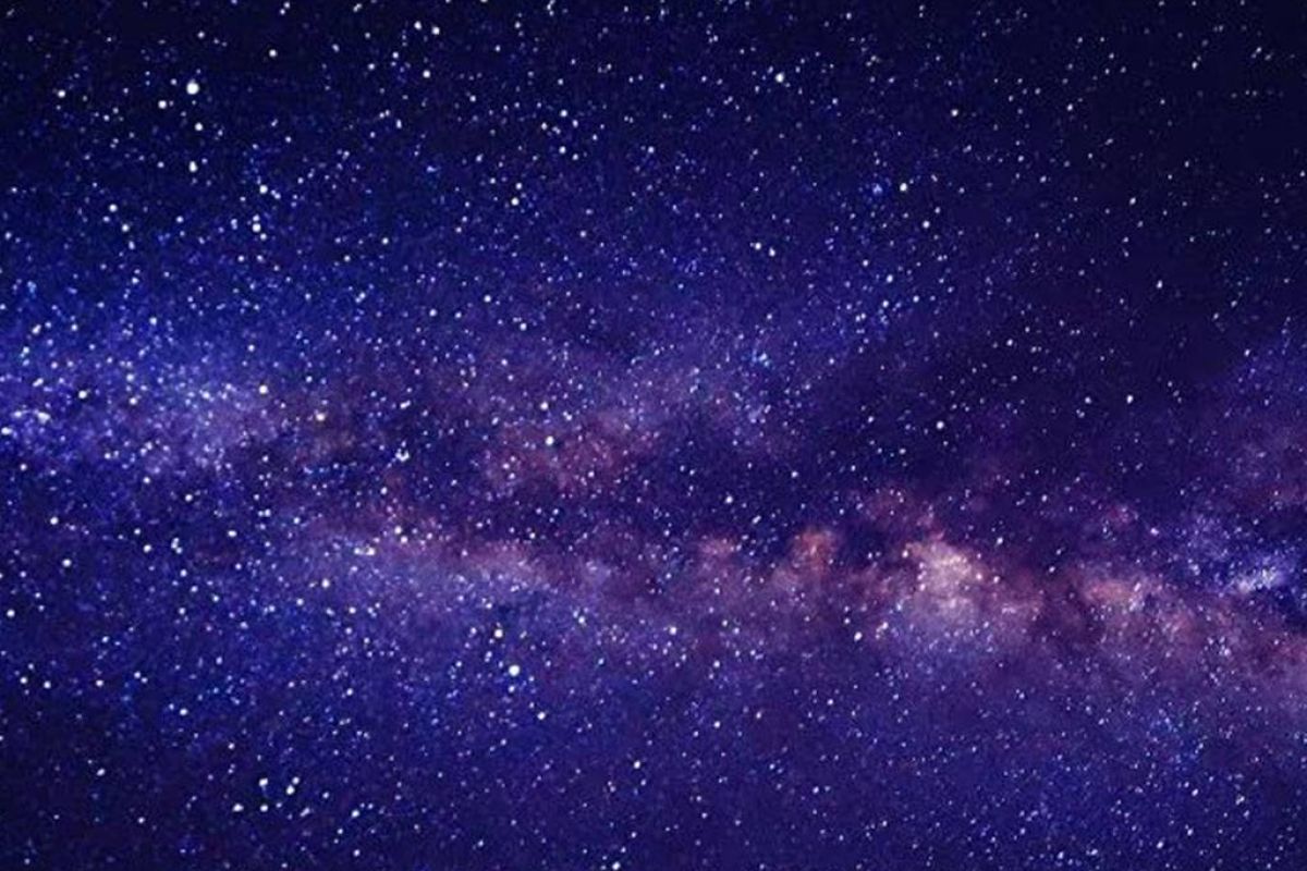 cdaf6193dd67ab7fab3ad2bd0ac3398b XL aea28409