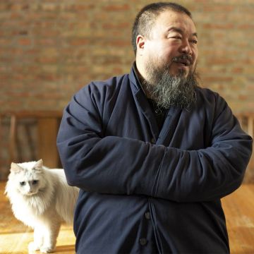 «Άι Γουεϊγουέι: Πάντα Μαχητής» στην ΕΡΤ1