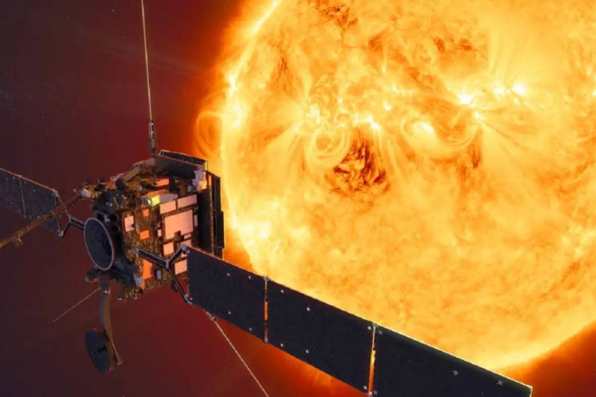 8d51536fe585531face1606dfb4baf0f XL afc8911d