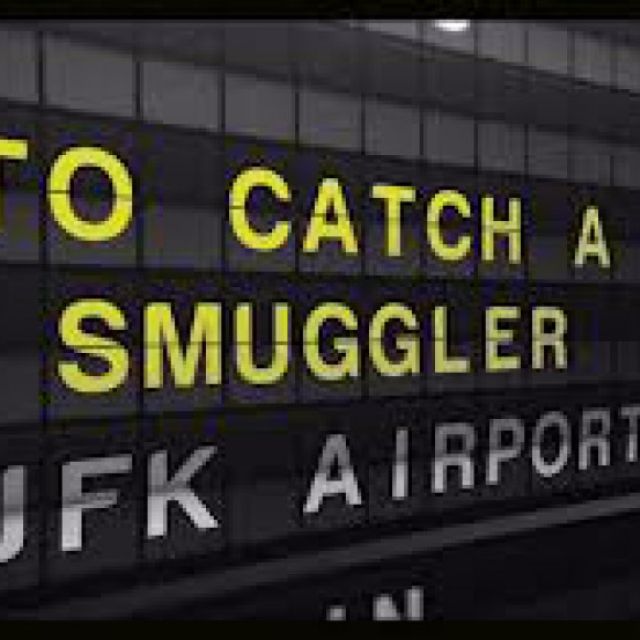 Δείτε σήμερα σε National Geographic και National Geographic Wild