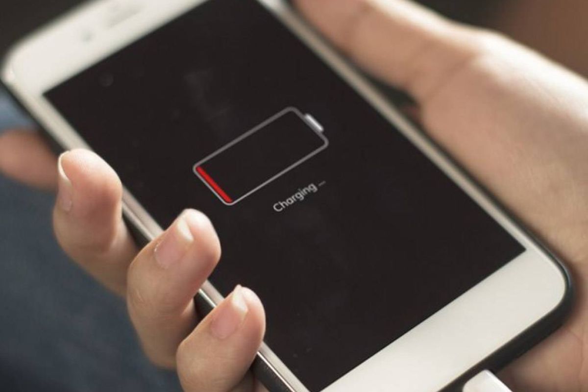 70bb63b95afe934b9ba46a96e5848b9b XL b11563cd