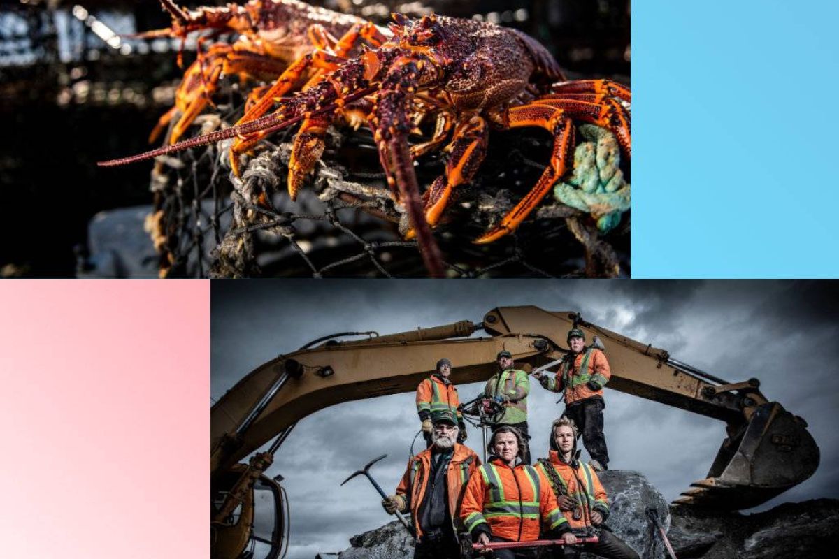 ab5cfcbaa0eb93b9e3b54a775316ee3f XL b1dd7b88