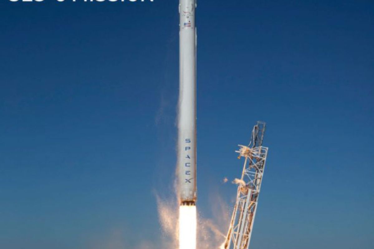 bbc8e63231c2d692ad626205aef12b7e XL b1444fed