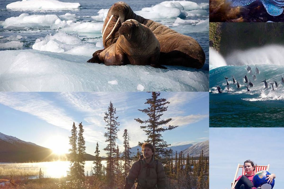 093dd9cf6f067c7f7abcdf0f13ae77cf XL b2790f59