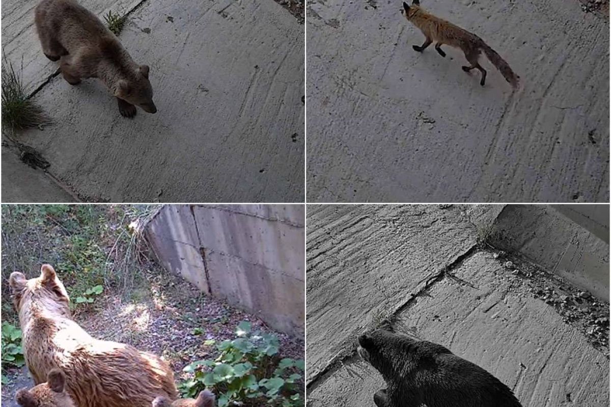 aa2c5470f81963406a69e16df672fe25 XL b2a2d351