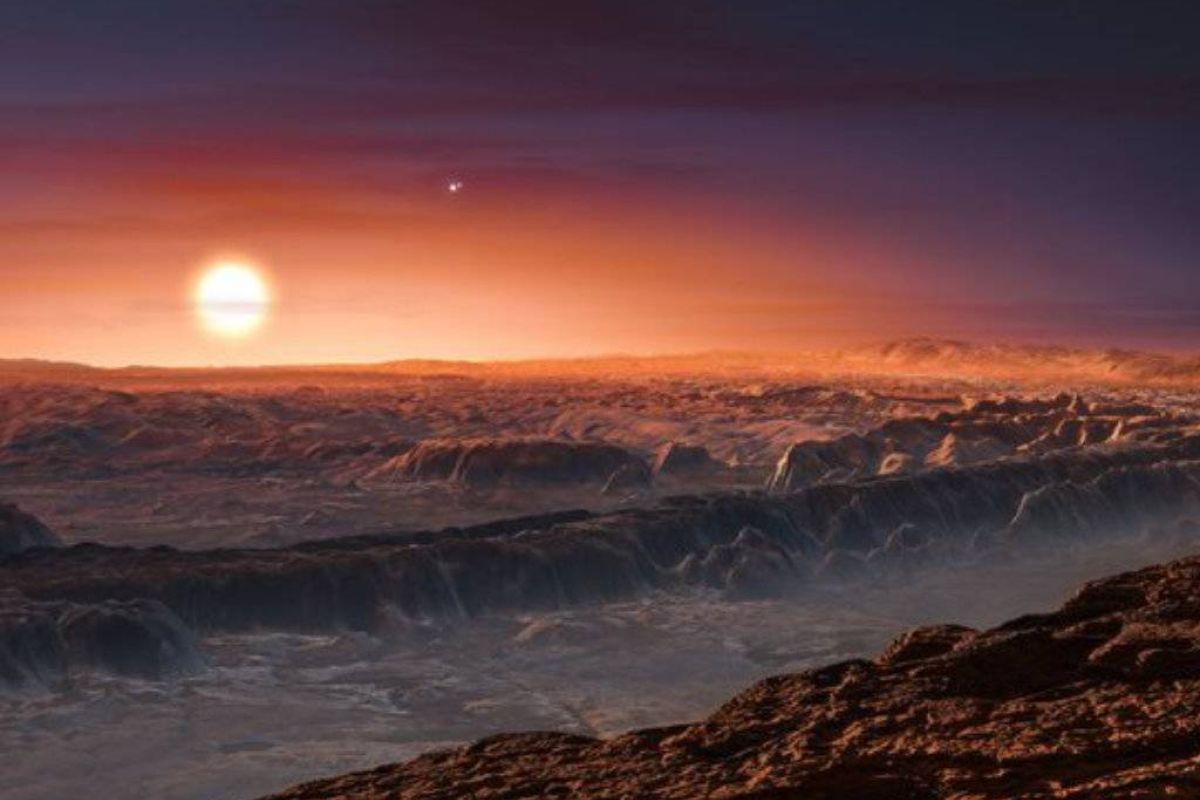 aa8f0425396a4bcfc30e4e26a4b2111c XL b29f3335