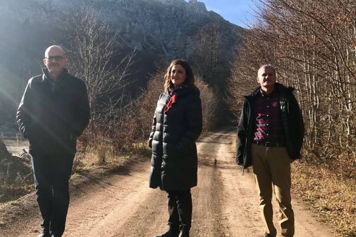 b3b849b8856522dbbfefff249ccae273 XL b2d3eaab