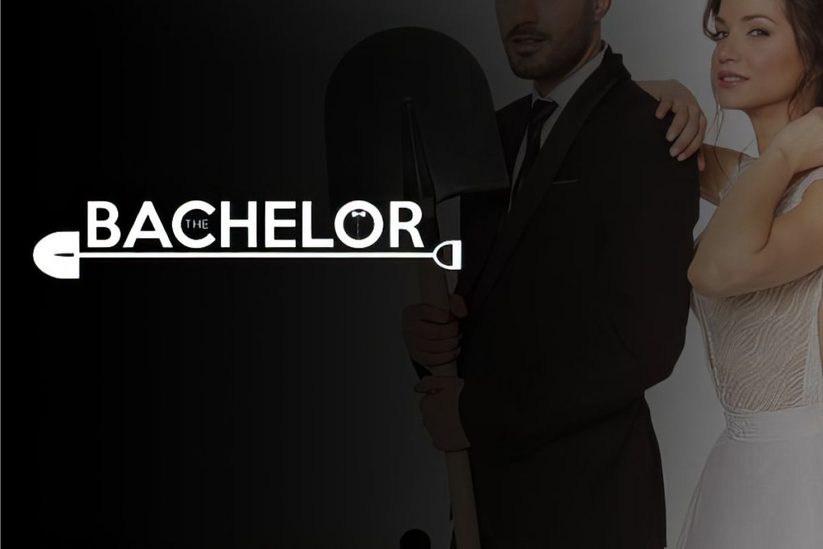 bachelor b29e6d31