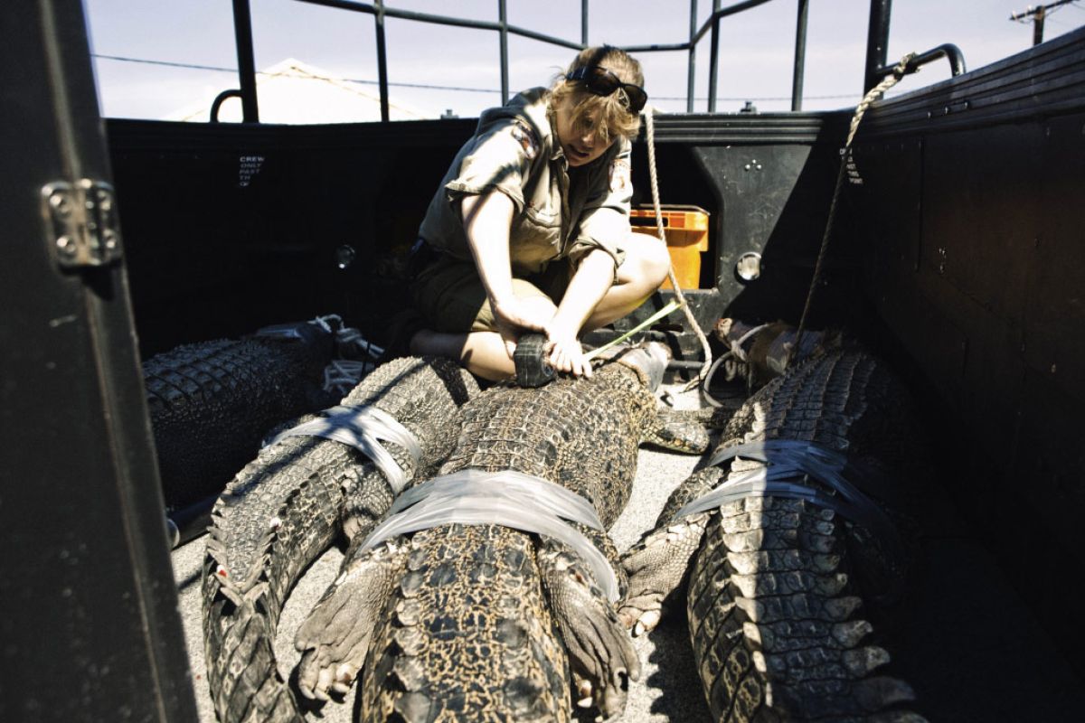 1ba6f013b03d3119f460bad3db0fbe5d XL b38f0ce4