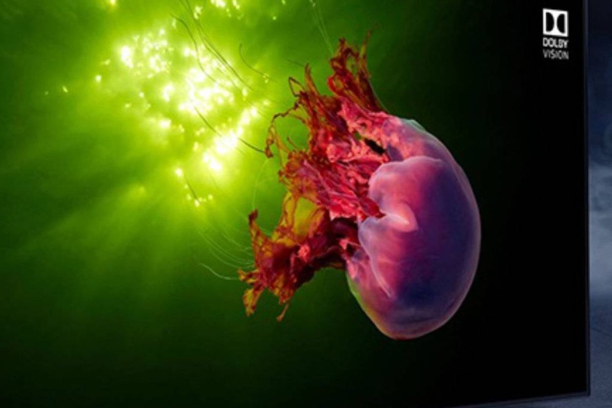 5ce6af8f34e3c19d75ef8bd81fc42e9b XL b34f707e