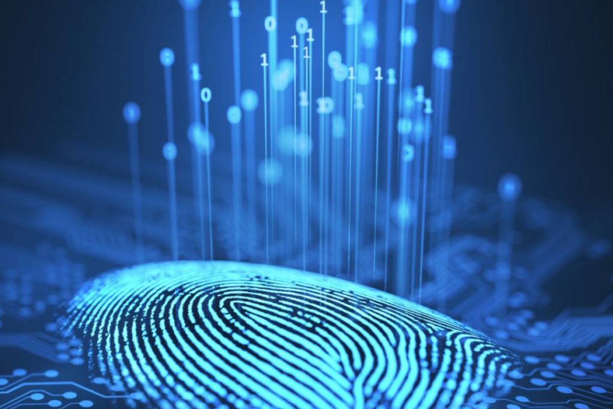 5eed952c8db0fcd11b95cdcc462144b9 XL b3d255f6