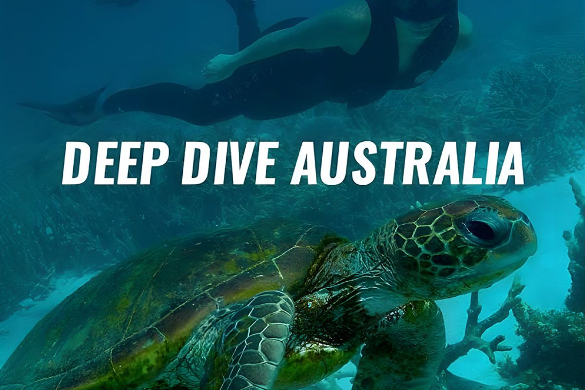 Untitled 1 160 b3c16a4c