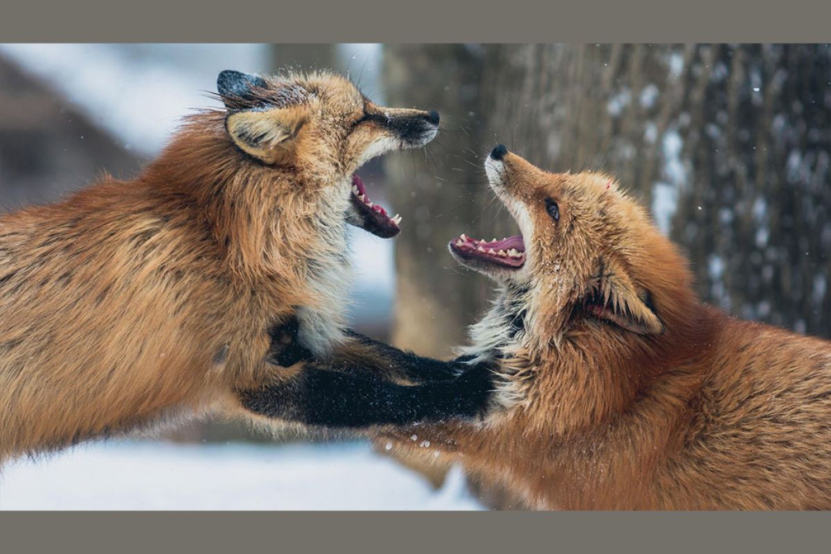 Untitled 1 6 b3b69f22