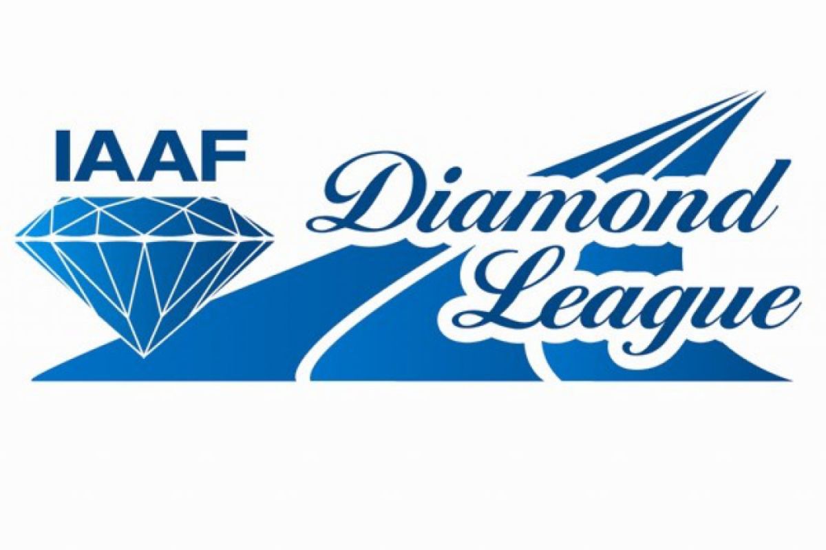 d521b3285331148964fc0a459a826ae3 XL b3779379