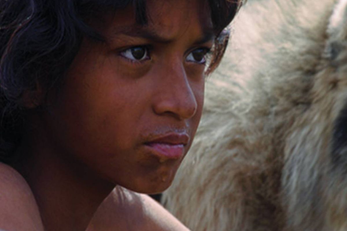 51289773b230c522f70a6d334871ff98 XL b550c1fd