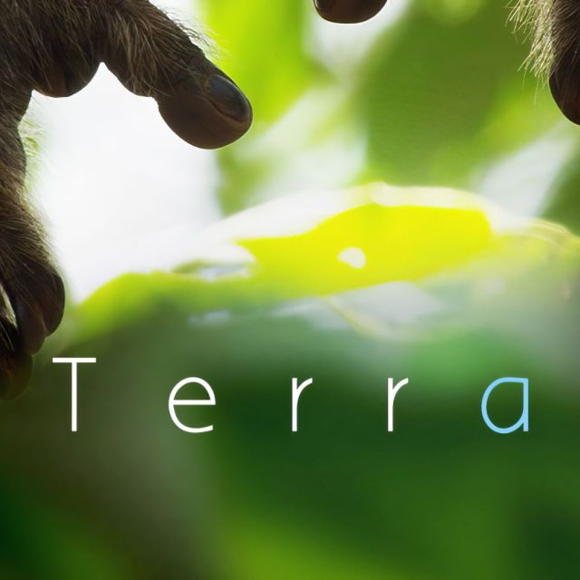 H Παγκόσμια Ημέρα Περιβάλλοντος στην ΕΡΤ & στο ERTFLIX