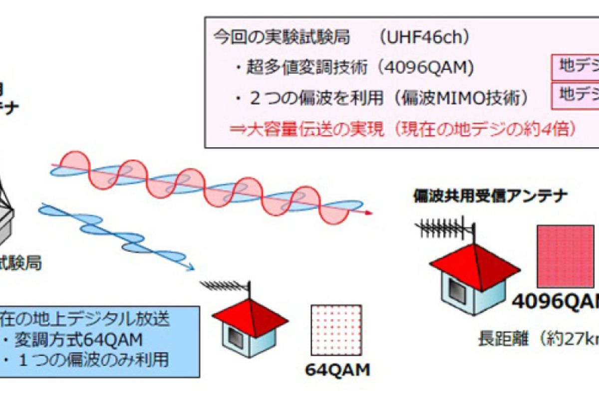 649ecf5562956d2dd811b4948d56f46c XL b644efee