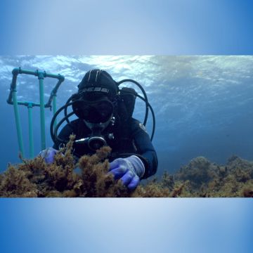 «Μπλε Δάση»: Πρεμιέρα για τη νέα σειρά ντοκιμαντέρ της COSMOTE TV