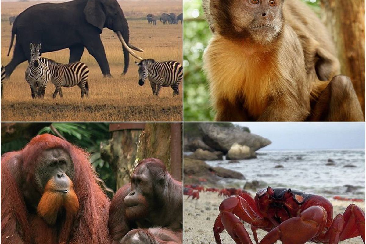 6d034e112ea370d083faac3f8f5ffc4e XL b7b0f759