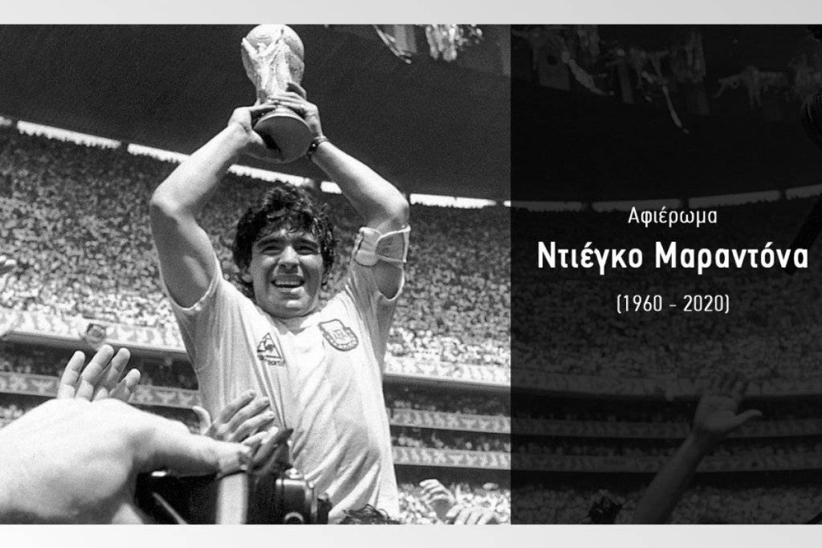 d3e92157a528ab3d1e8257a2cfc00bee XL b74827b4