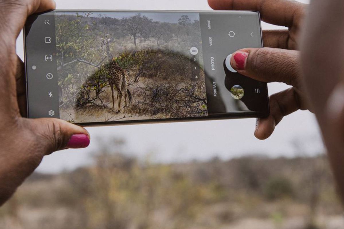 Untitled 1 14 ba2e0207