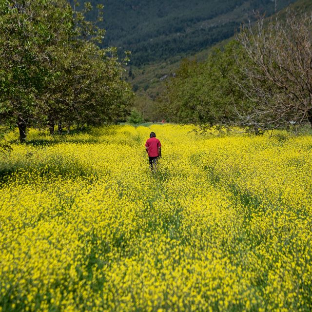«Σπόρος» : Νέα σειρά ντοκιμαντέρ στην ΕΡΤ3 και το ERTFLIX