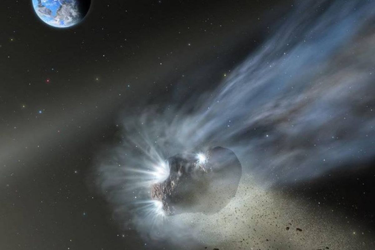 af6a645663891e1cff167dd4863c7af3 XL bcae1204