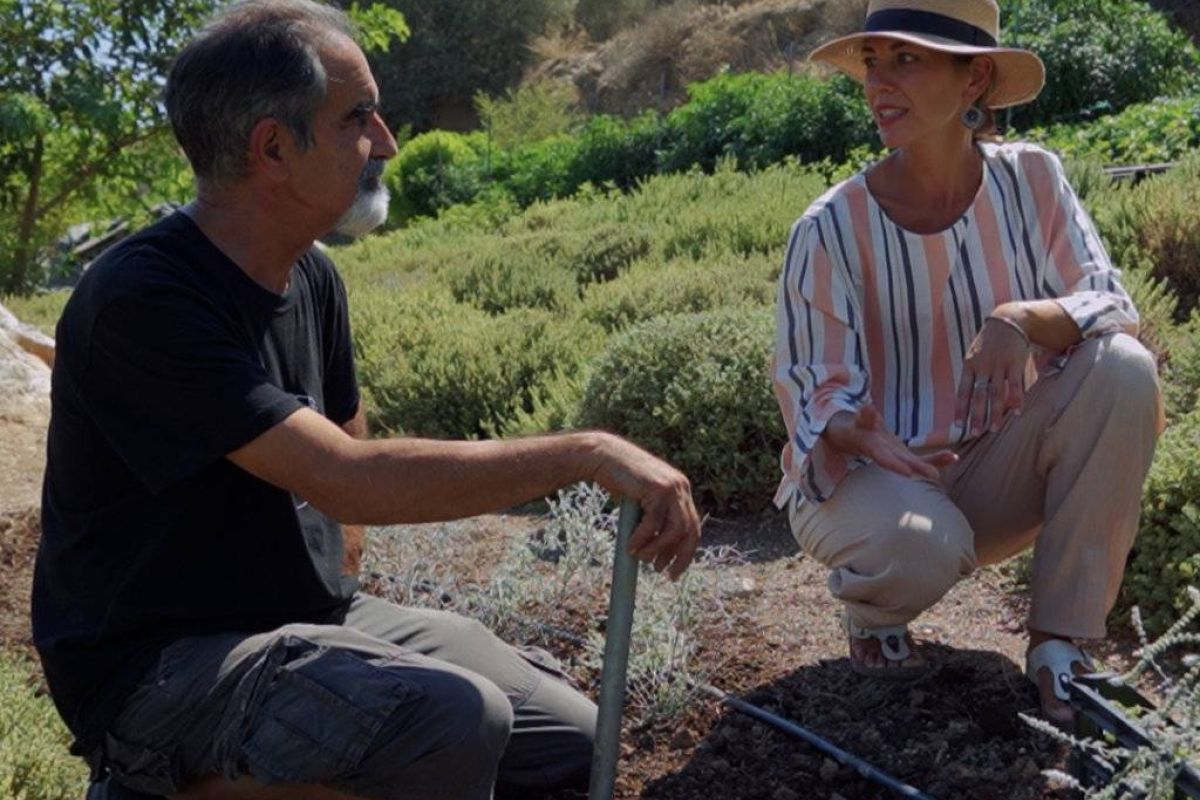 ce0eb068881b47ac9d92f110363dc1fc XL bcf9d71f