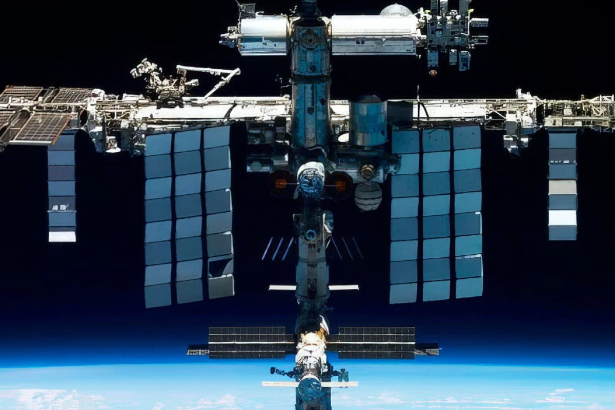 1024X1024 21 bd4a2a12