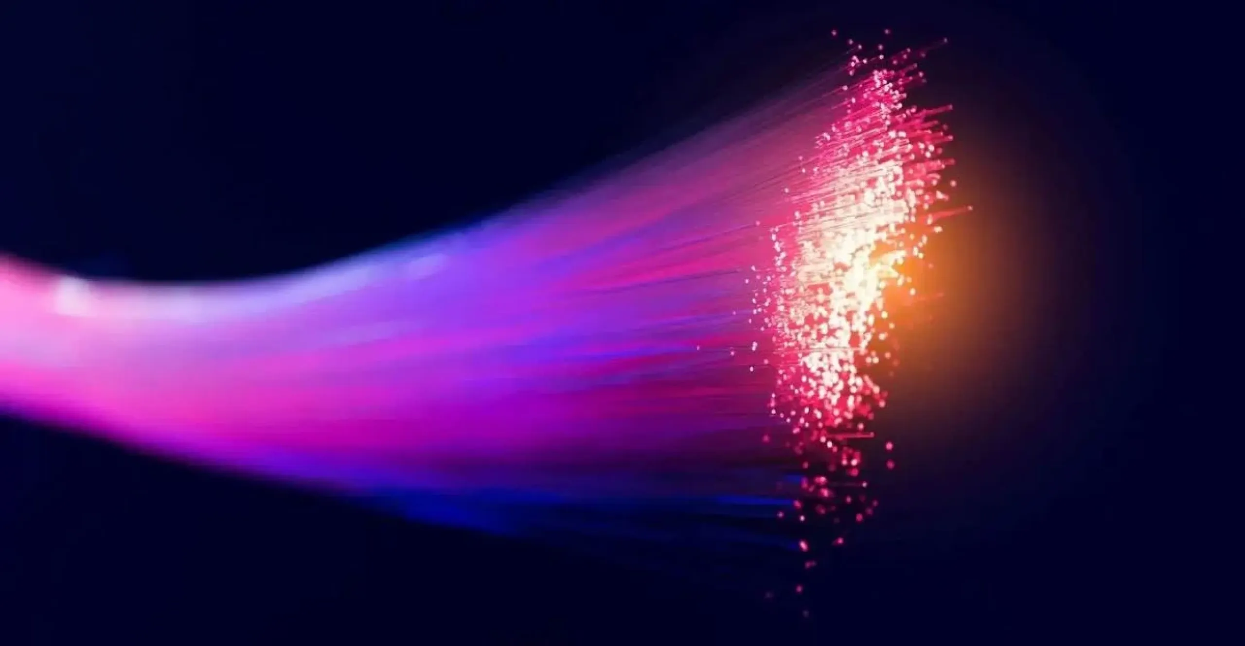 fiber network speed bd2d8b44