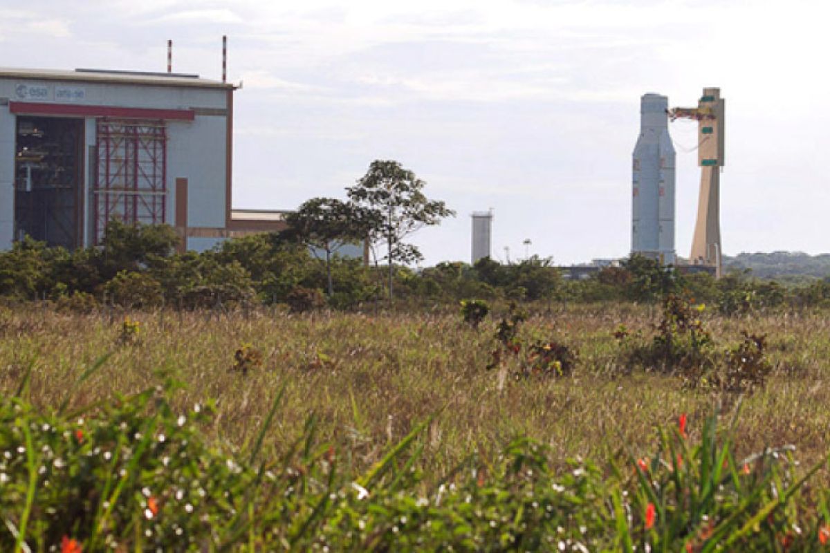 214dcc6120114f09b35ac881efad17a5 XL bea4f7ec