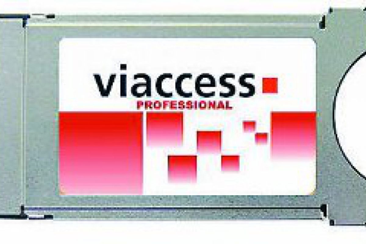 66421b4b489d22e99ccd15c735b684e9 XL be085619