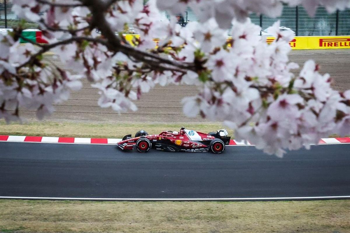 1000 GRAND PRIX IAPONIA 1 1200 d492de6125 bf941392