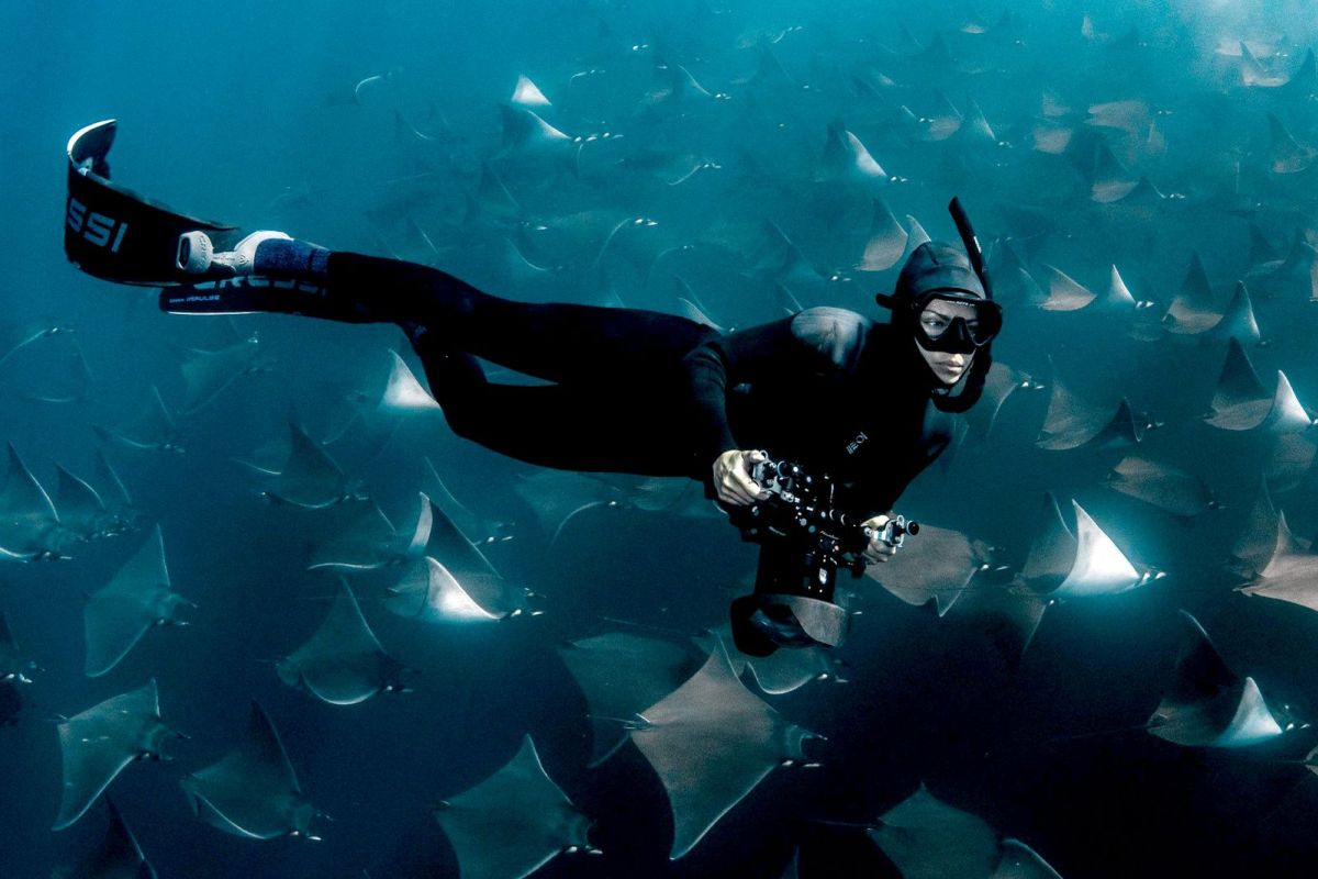 Καταδύσεις στα βαθιά: Βόρεια Αμερική — Η Lizzie Daly επιστρέφει για να εξερευνήσει τις άγριες θάλασσες μιας ηπείρου