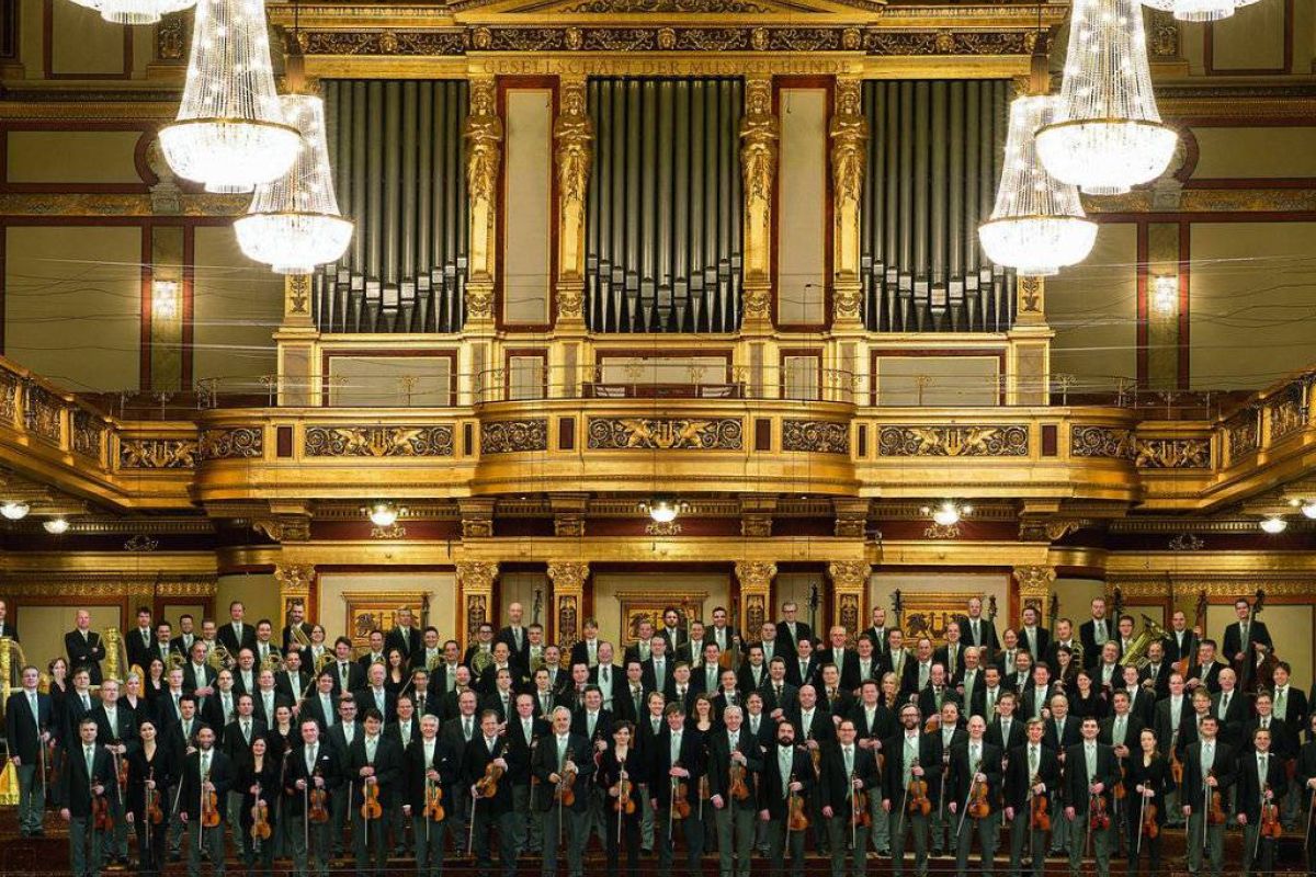 a4764b7634eccb87ef45fd8b7ab9f198 XL bfd67fa1