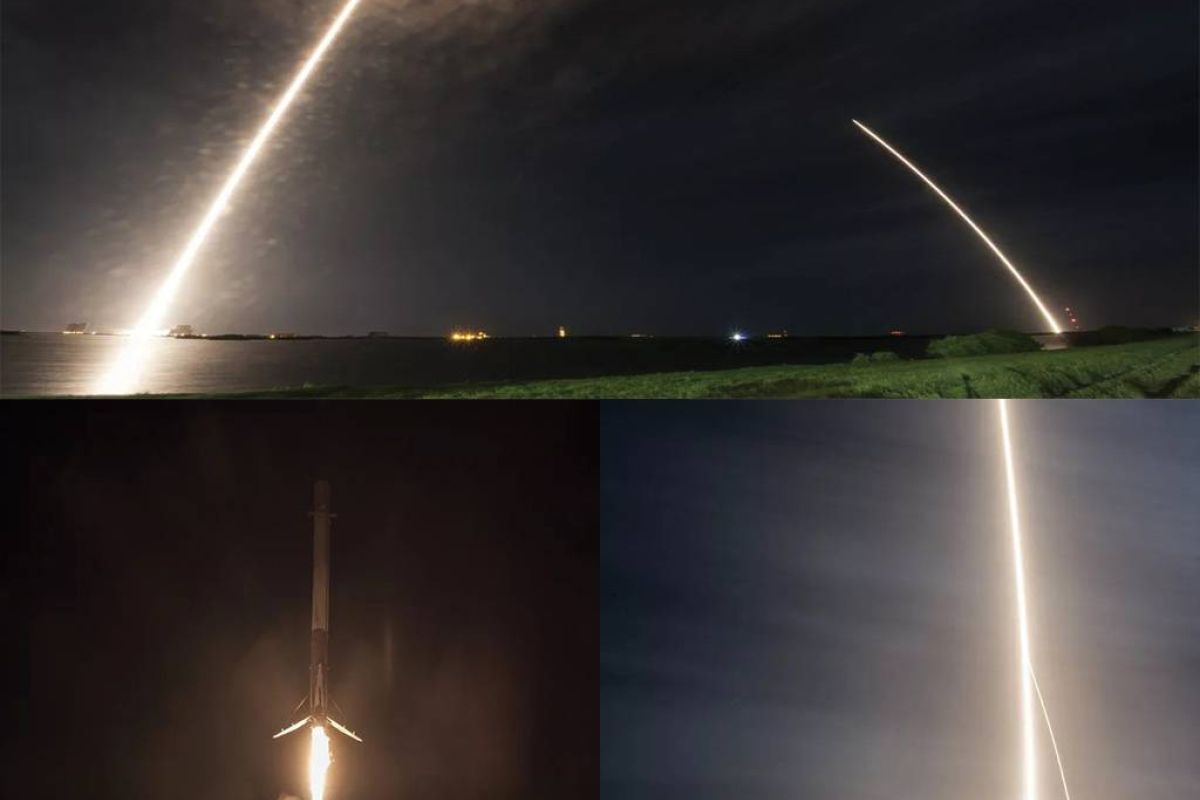 e206d320f47bf57e095578796b3b640d XL bfac24d5