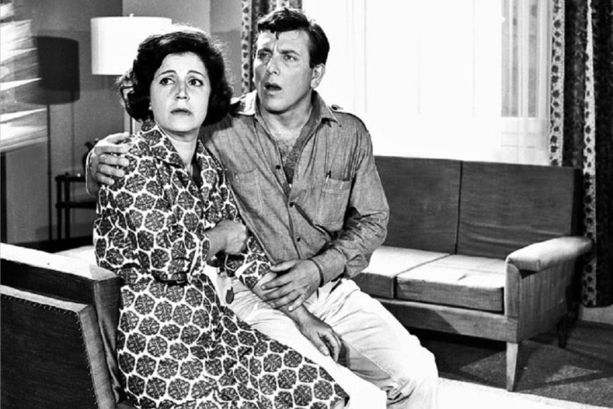 xartpaixtra bf1ea293