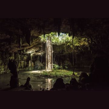 Viasat Nature – Οι καλύτερες στιγμές του Μαρτίου 2024