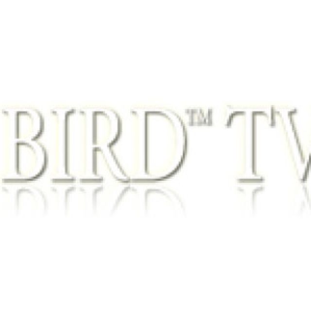 Hotbird TV Awards, οι δηλώσεις των νικητών