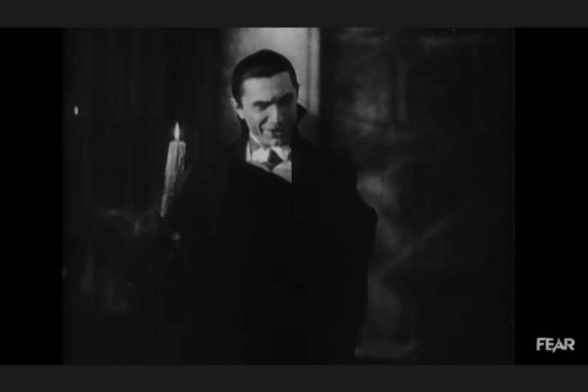 61db86d7408dd0edf10df087050f434d XL c3bcc8e9