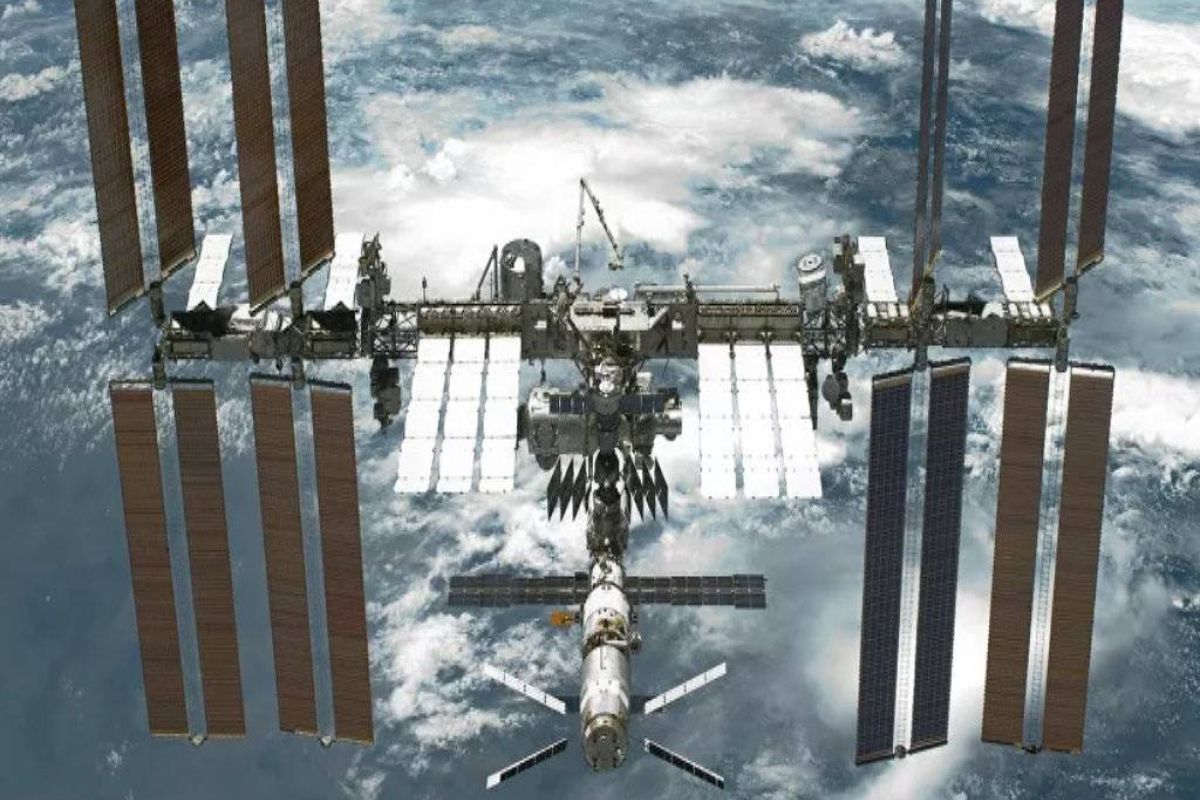 8c8f8db3226a4df67463f4e1702c0876 XL c33eb276